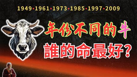 屬牛運勢|生肖牛：屬牛2024年運勢及運程，2024年屬牛人的全年每月運勢。